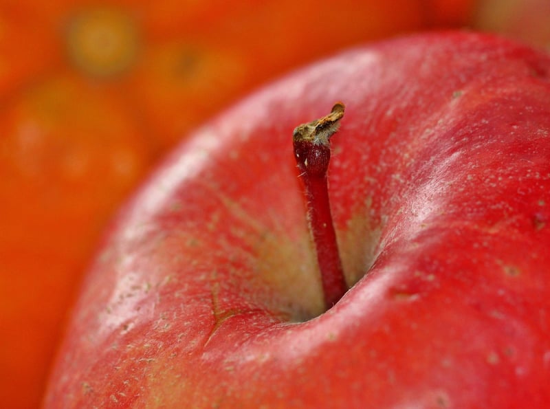 Apple and Cinnamon